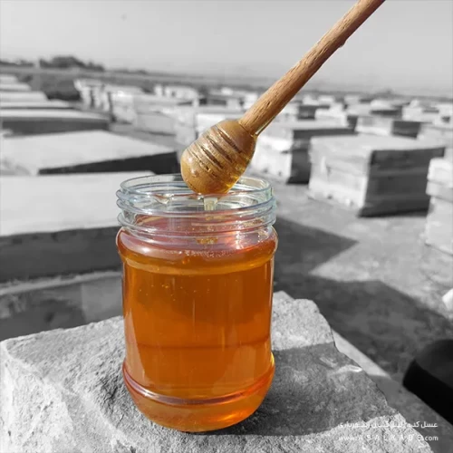 عسل بهارنارنج صاف شده ارگانیک